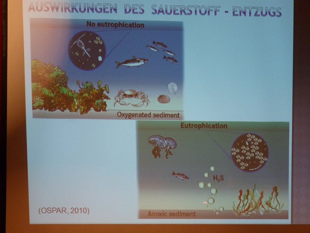 31.August 2011,  0110.JPG